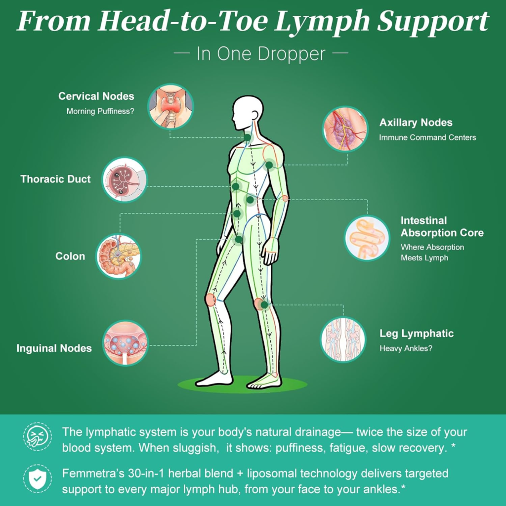 Amazon Liposomal Lymphatic Drainage Drops - 30 Herbal Blend, Raspberry Flavor, Supports Fluid Balance & Eases Bloating for Sedentary Workers, Plant-Based Daily Wellness, 2 Fl Oz - Reviews and Buying Guide